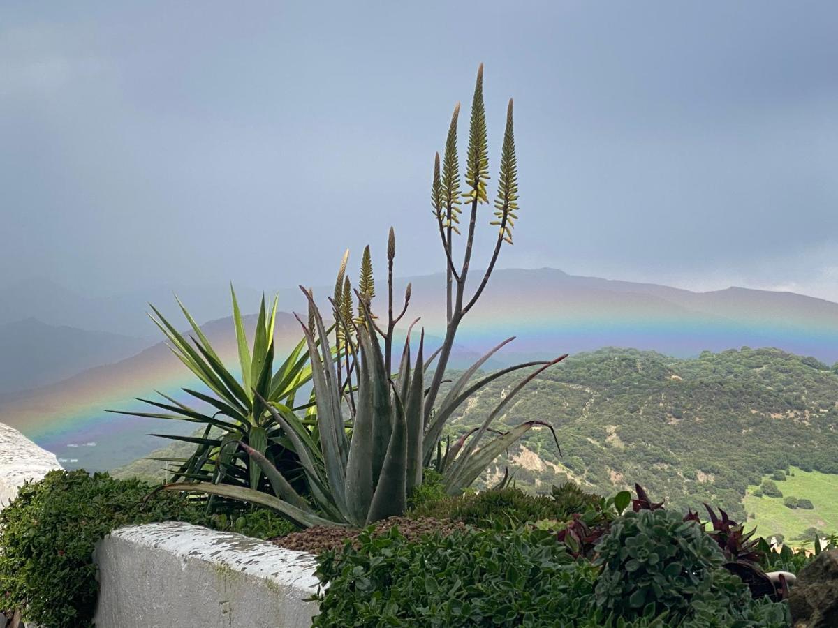 Alojamiento Armenia Piscina Alcala de los Gazules Bagian luar foto